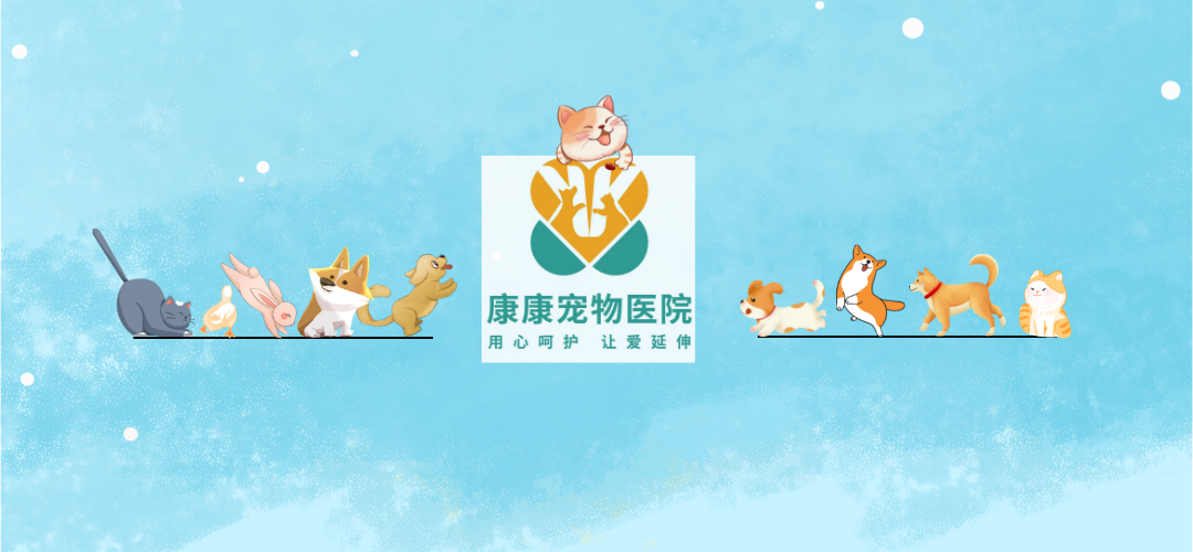 网站首页|宜昌康康宠物医院|宠物医院|宠物美容|宠物看病|宠物用品|宠物食品|宠物保健品|宠物活体|宠物医生-宜昌市伍家岗区康康宠物医院